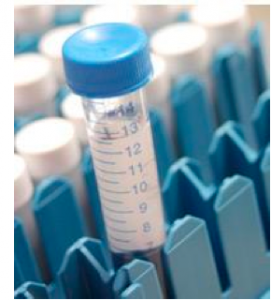 learning to read science 1