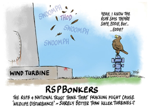 rspb_bonkers_josh_cartoon