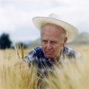 Norman-Borlaug