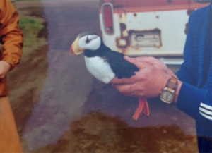  Russian scientist Sasha Golovkin holds a horned puffin he caught for research purposes, St. Paul Island, Summer 1993. 